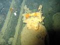 Thistlegorm (53)